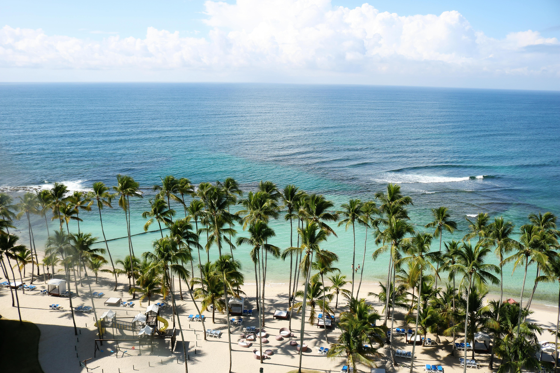 Palm trees line a white sand beach, turquoise water, ocean.
