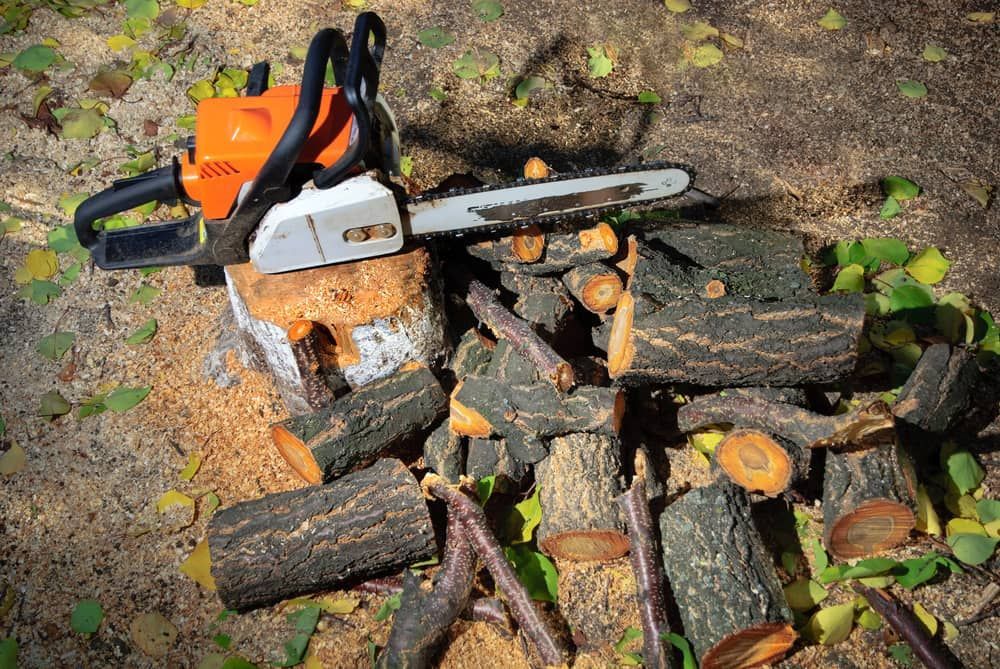 A Chainsaw Is Sitting on Top of A Pile of Logs — Stihl Shop Grafton in Woolgoolga, NSW
