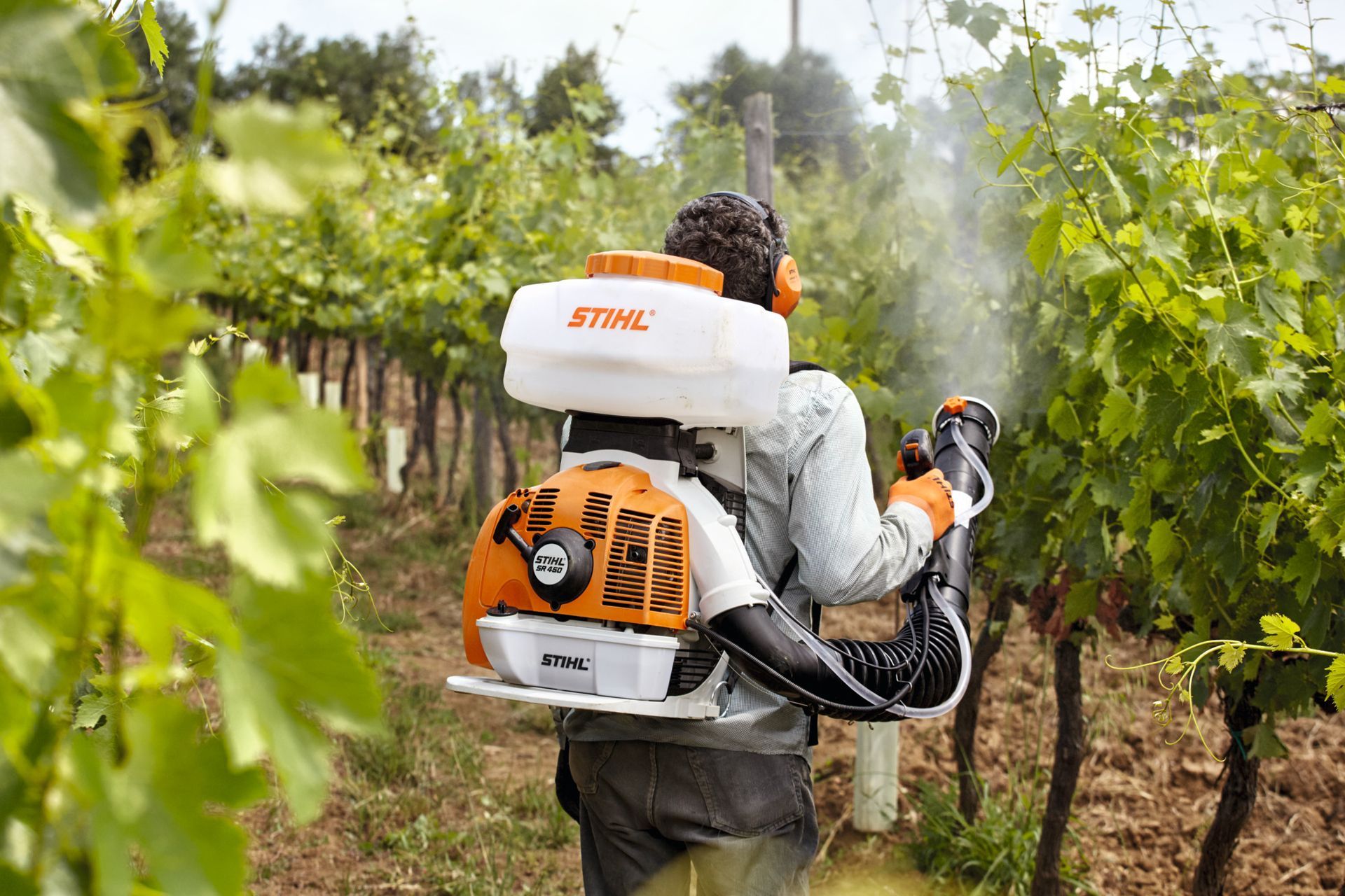 A Man Is Spraying a Vineyard with A Backpack Sprayer — Stihl Shop Grafton in Woolgoolga, NSW