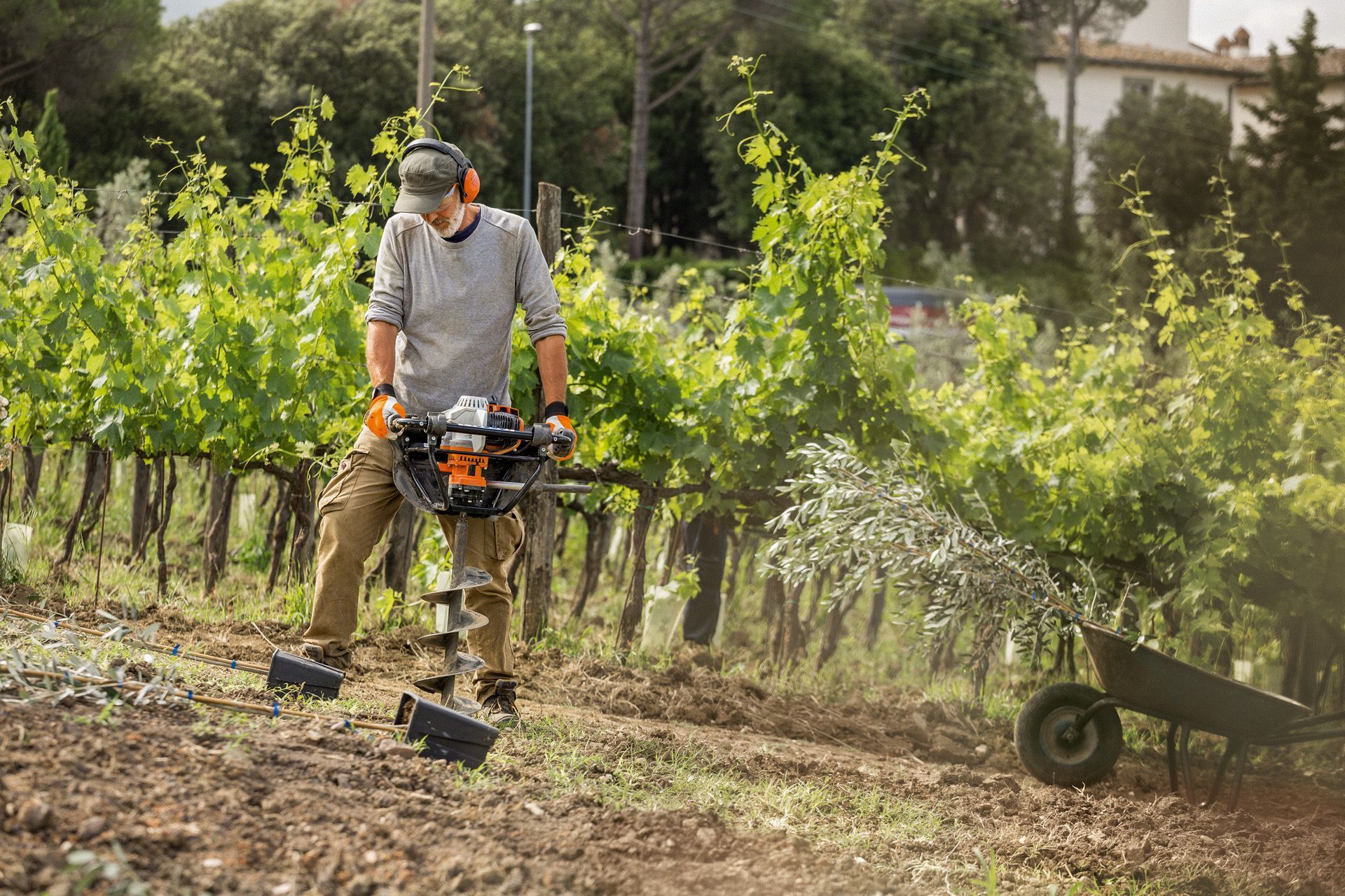 A Man Is Using a Drill to Dig a Hole in The Ground in A Vineyard — Stihl Shop Grafton in Grafton, NSW