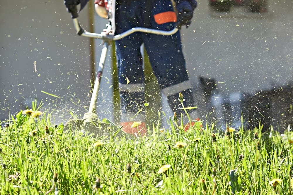 A Person Is Cutting Grass with A Lawn Mower — Stihl Shop Grafton in Woolgoolga, NSW