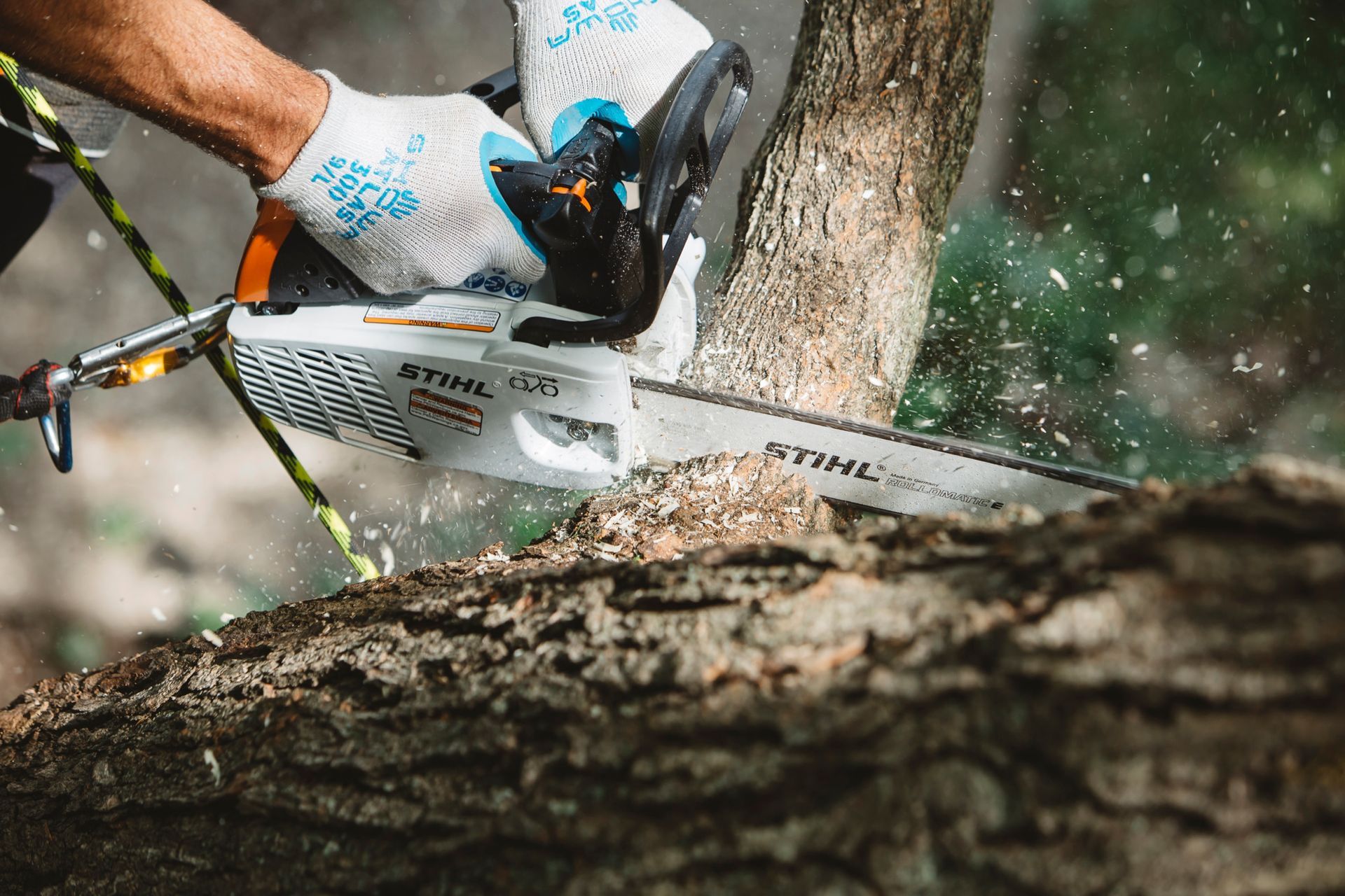A Person Is Cutting a Tree with A Chainsaw — Stihl Shop Grafton in Grafton, NSW