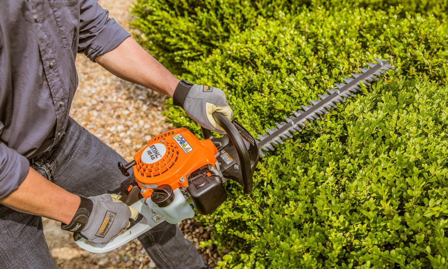 A Man Is Cutting a Bush with A Hedge Trimmer — Stihl Shop Grafton in Glen Innes, NSW