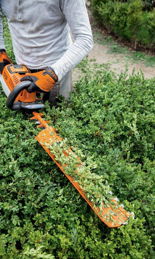 A Man Is Cutting a Bush with A Hedge Trimmer — Stihl Shop Grafton in Woolgoolga, NSW