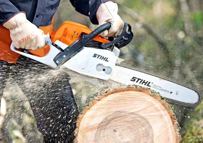 A Person Is Cutting a Tree with A Stihl Chainsaw — Stihl Shop Grafton in Grafton, NSW