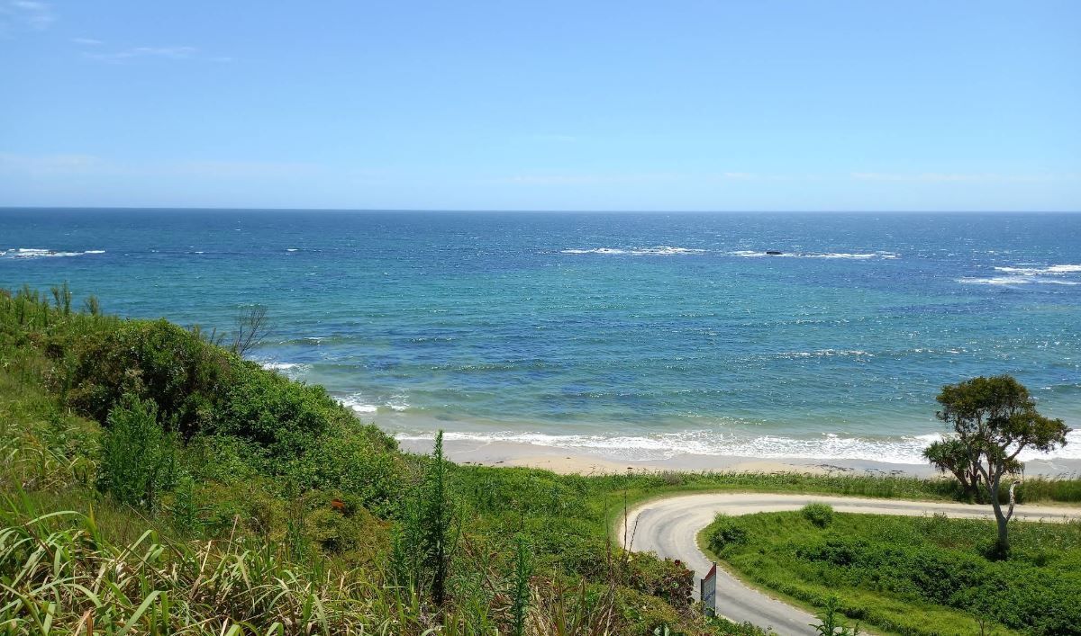 A Winding Road Leading to The Ocean on A Sunny Day — Stihl Shop Grafton in Minnie Water, NSW