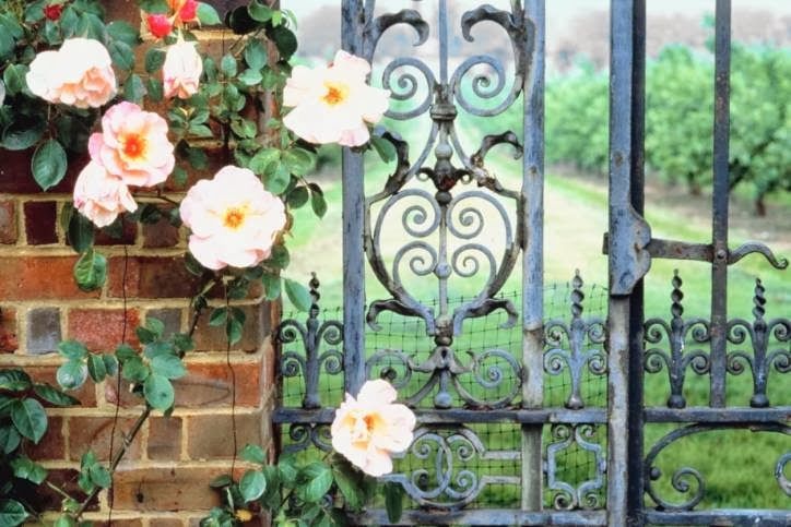 Pink roses climbing a brick wall, framing a decorative wrought iron gate that opens to a green field.