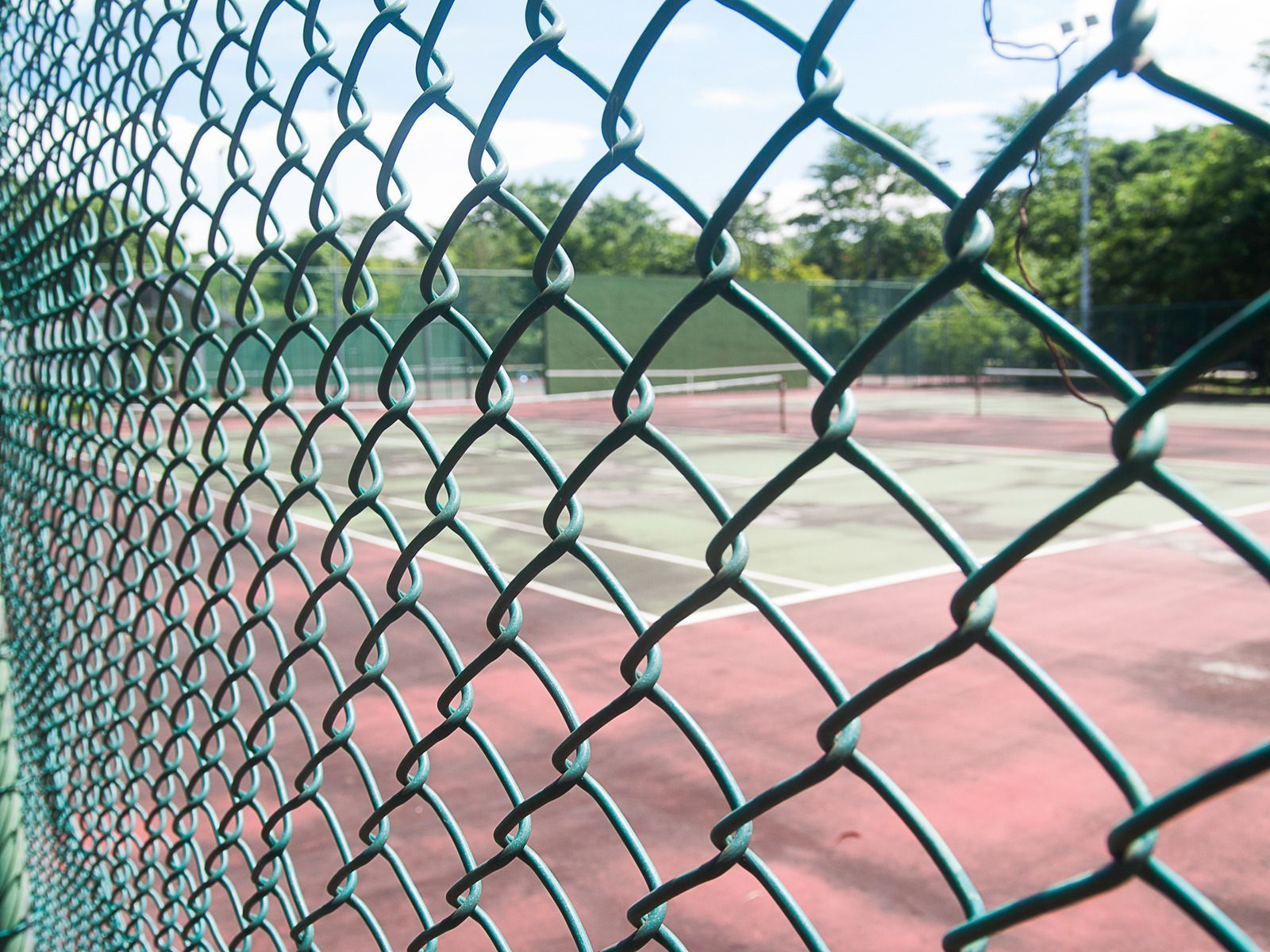 Green grassy yard with black chain-link fence bordering a wooded area.