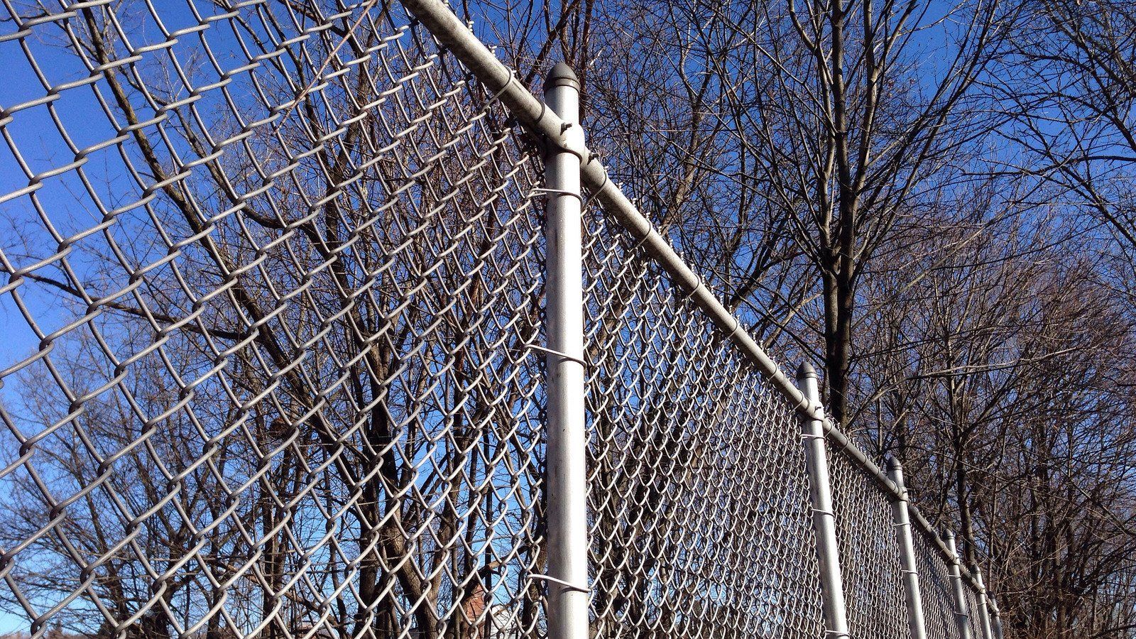 Chain-link fence with metal posts, against a blue sky, trees in background.