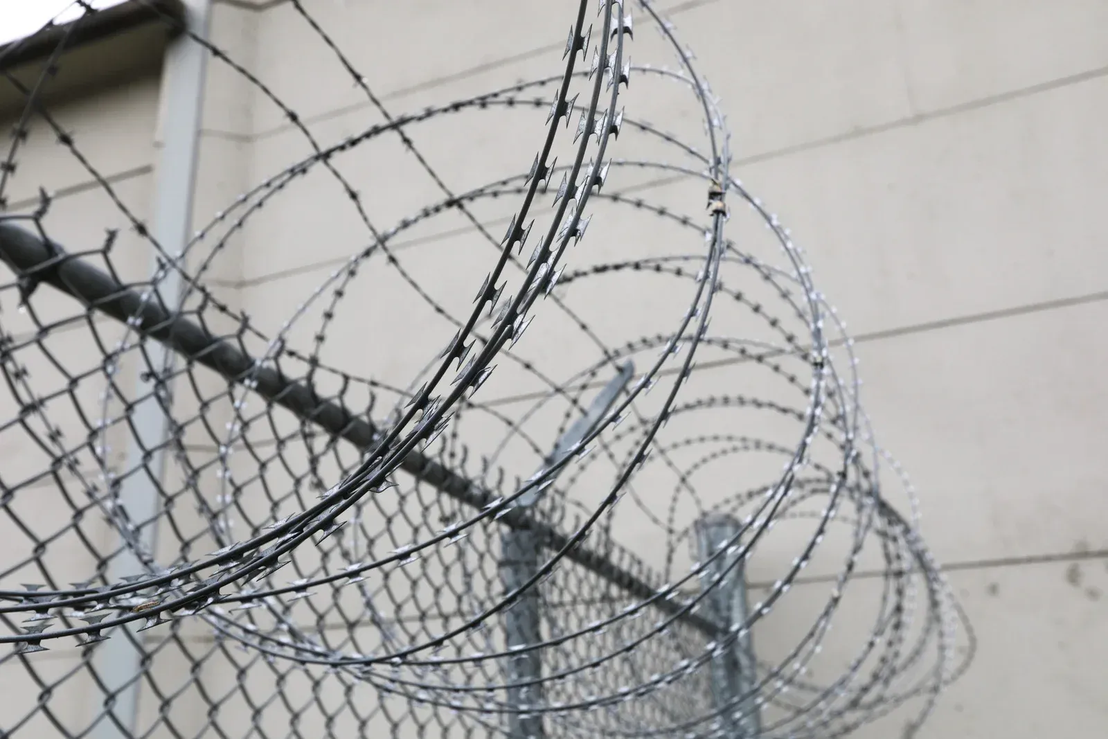 Green wire fence with vertical and horizontal wires, against a blurred green background.