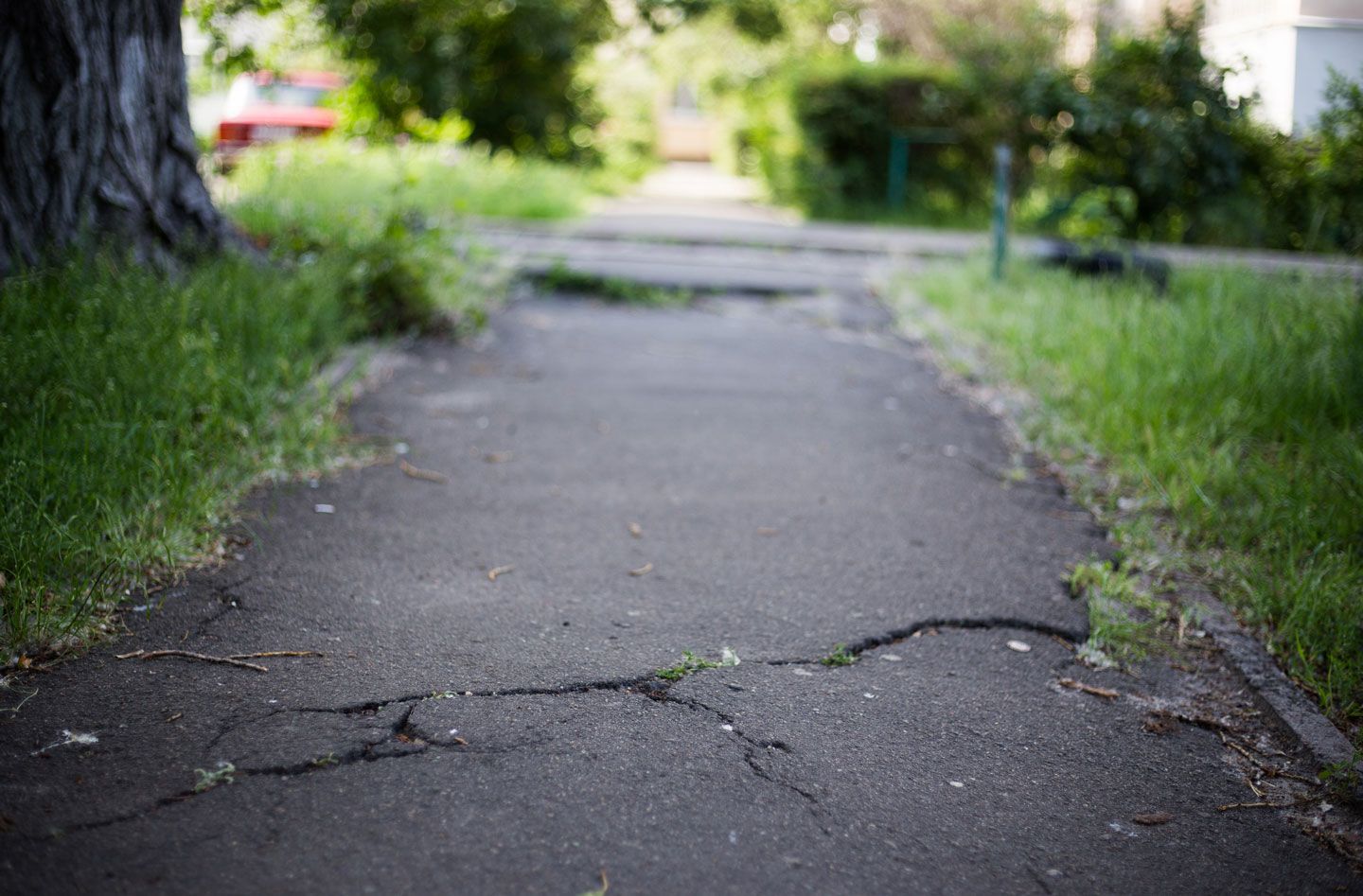 Cracked asphalt sidewalk with grass on either side, leading to blurry background.