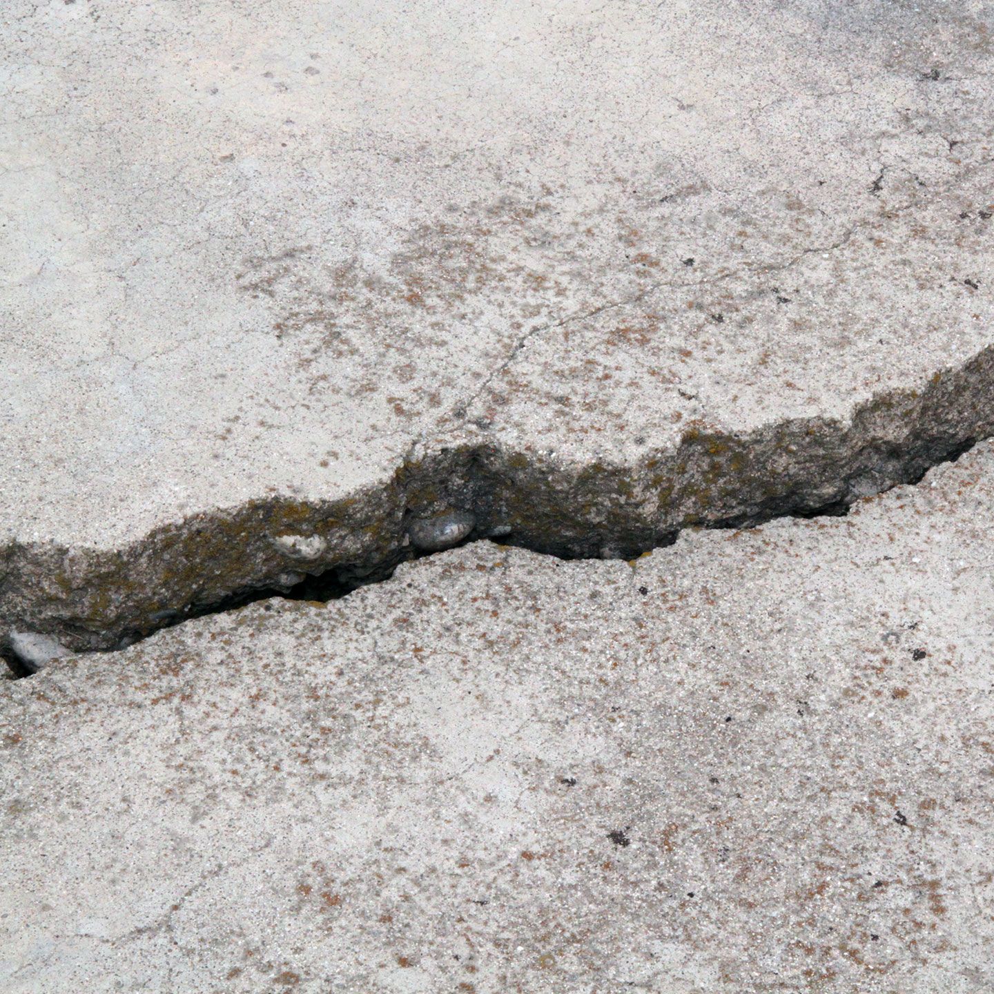 Close-up of cracked concrete surface, light gray with a dark, uneven crack running across it.