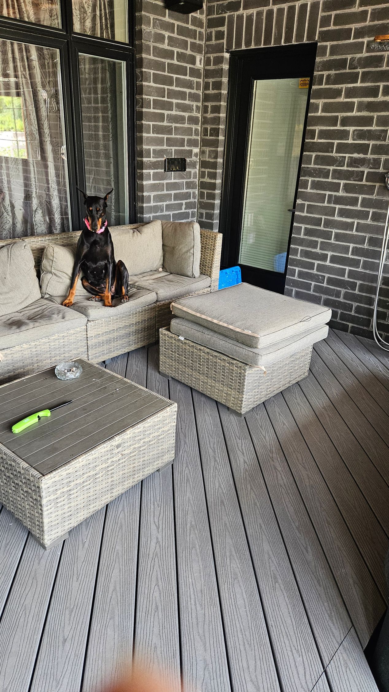 Doberman pinscher sits on a beige outdoor sectional sofa on a patio with a brick wall.