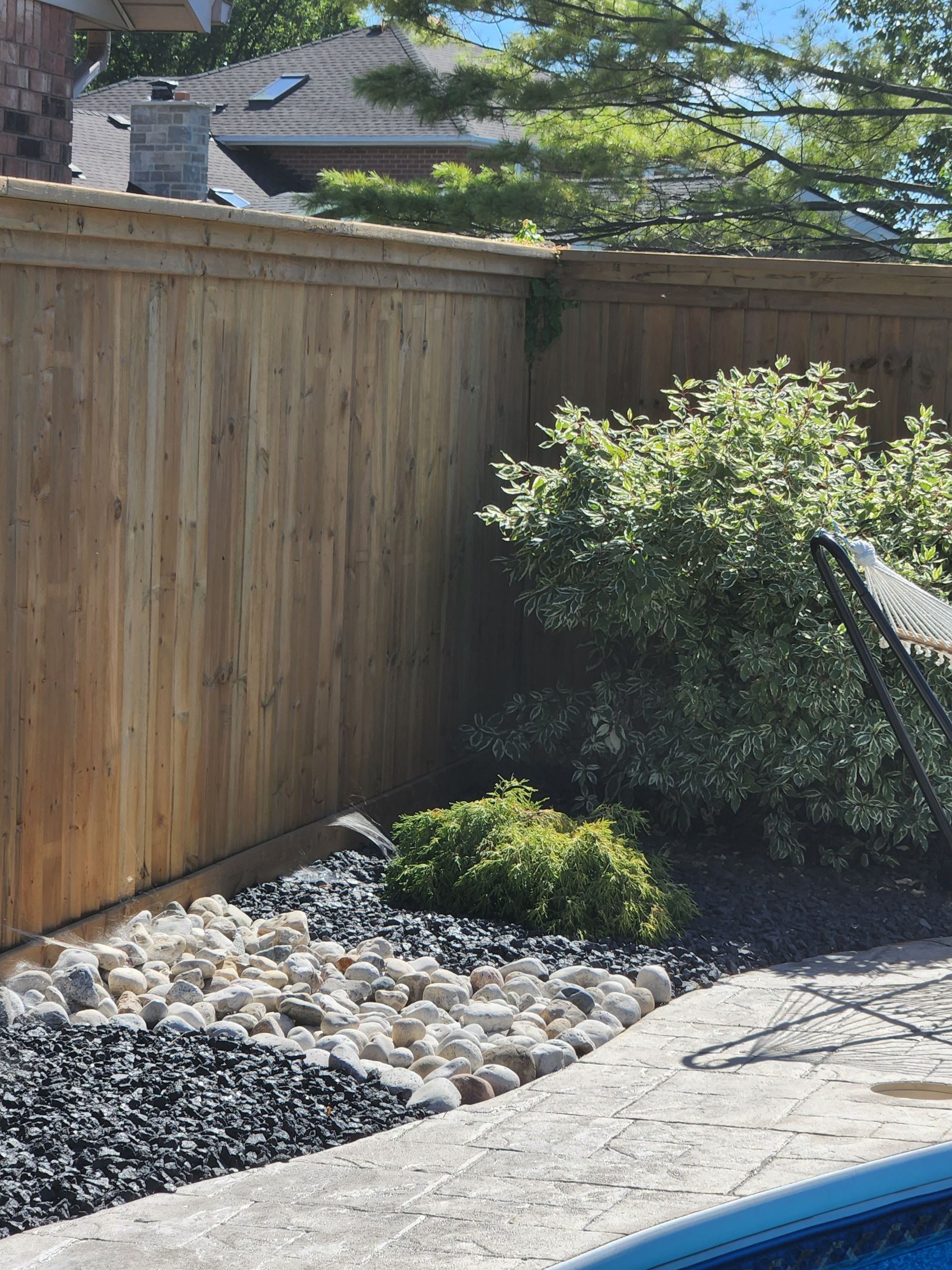 A backyard corner with a wood fence, a small green shrub, and a decorative garden bed of black and white river stones.