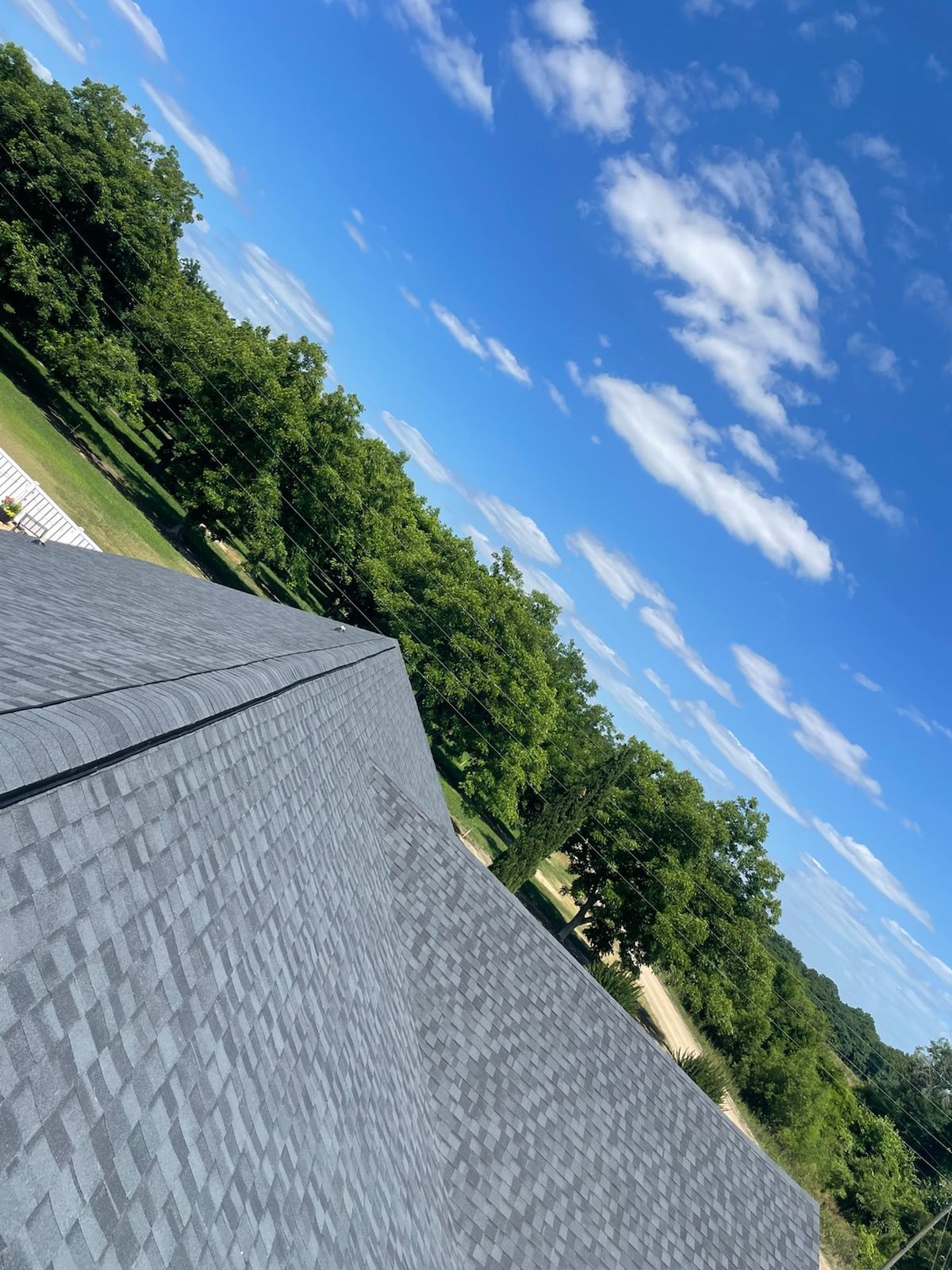 Dark gray shingled roof with a bright blue sky and trees in the background.
