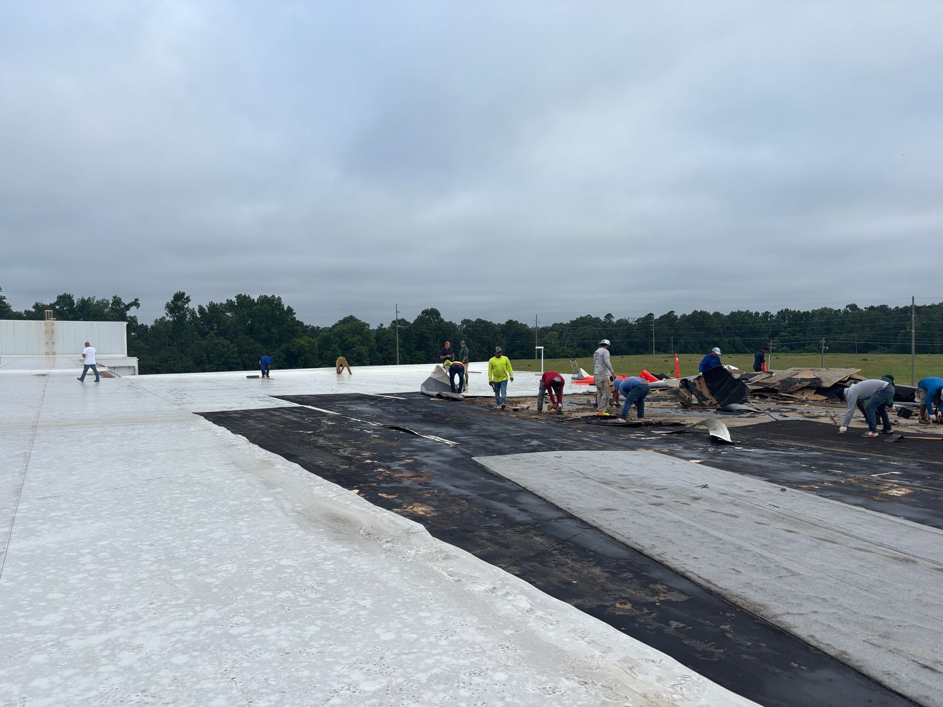Construction workers on a flat roof, installing white insulation panels. Overcast sky and green trees in the background.
