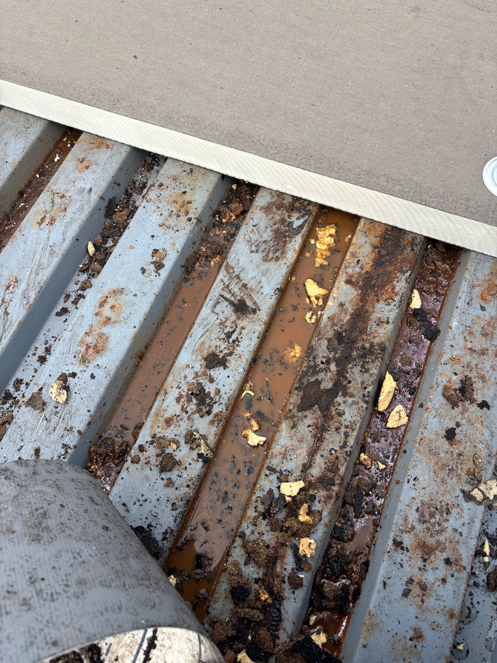 Dirty metal grate with standing water and debris.