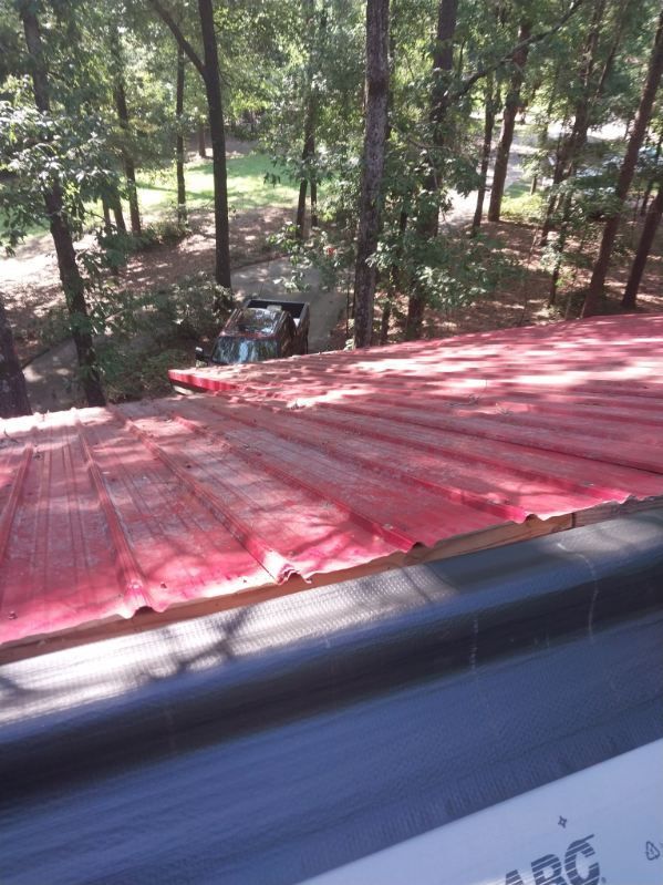 Red corrugated metal roof, trees in the background, possibly a shed visible.