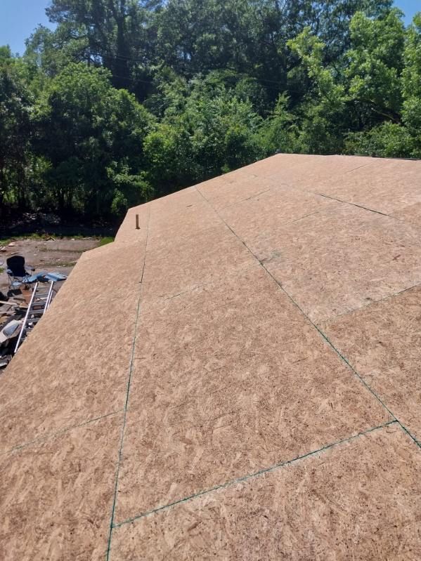 OSB sheathing on a roof with a backdrop of green trees under a bright sky.