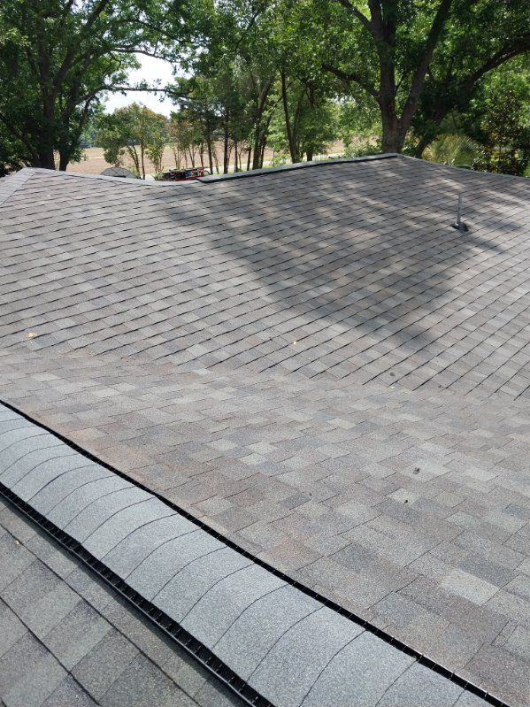 Gray asphalt shingle roof with some wear; trees in the background under a sunny sky.