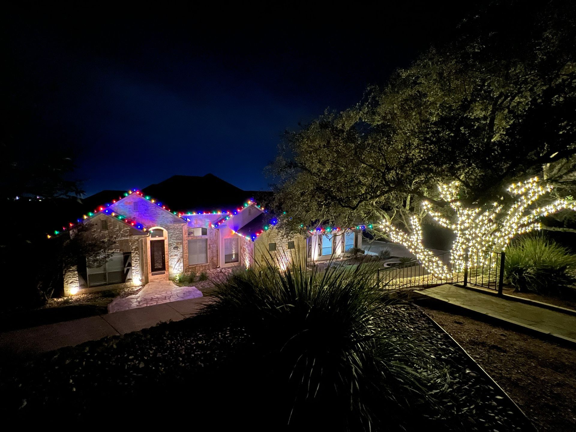 House at night with Christmas lights on roof and in tree.
