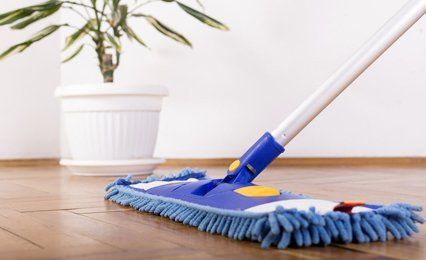 A plant in a white pot next to a blue floor mop