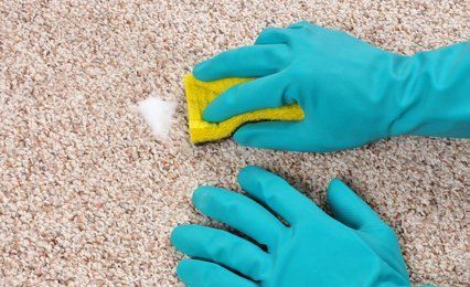 Hands in turquoise rubber gloves, using a yellow cloth to dab a stain from a carpet