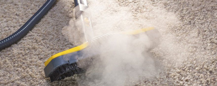 A steam cleaner on a cream carpet