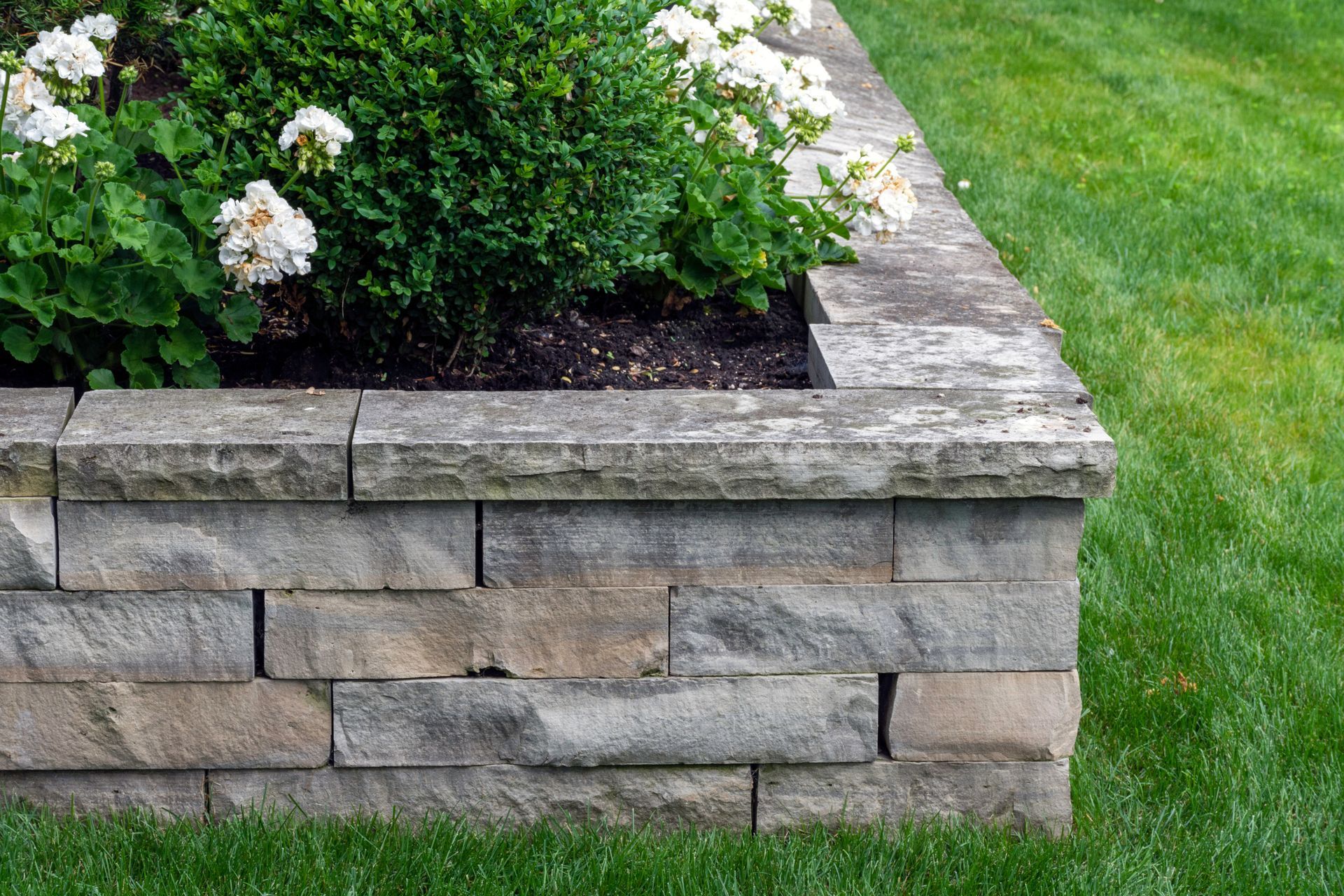 Stone retaining wall with flowers and green grass.
