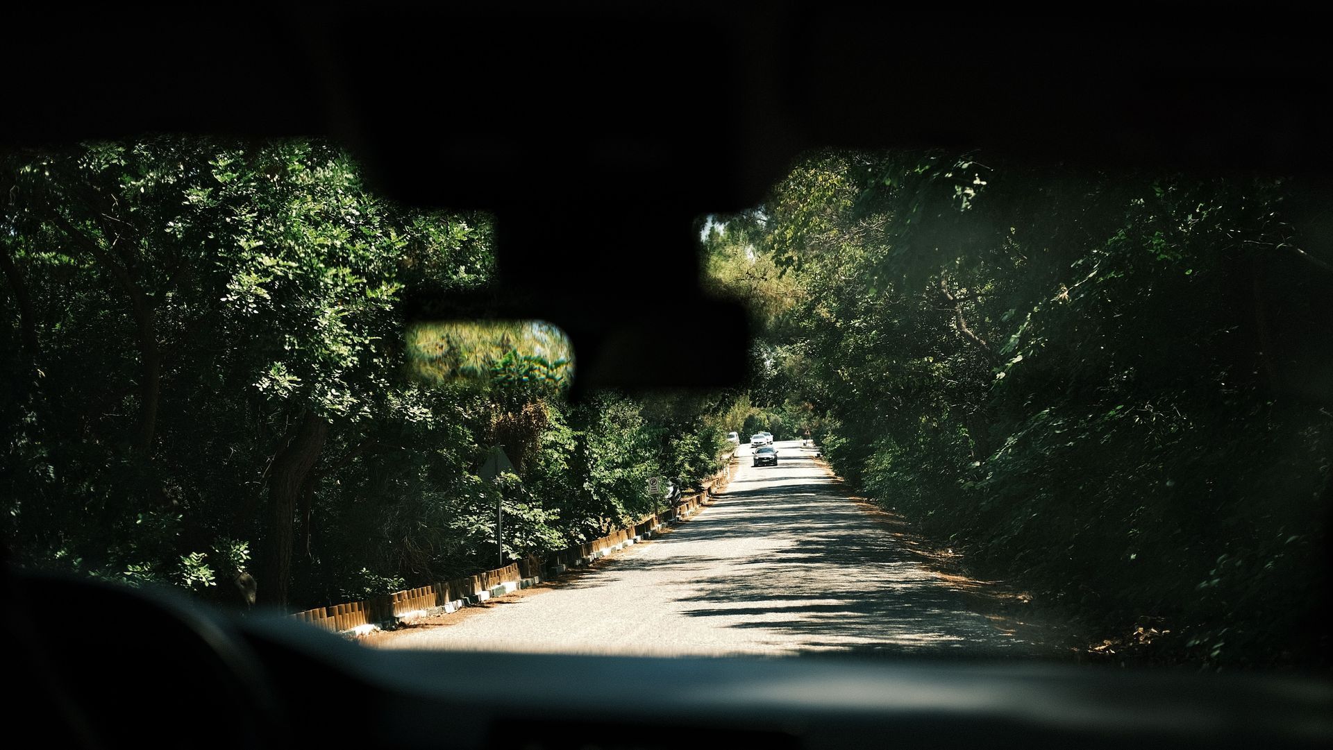 View from inside a car driving down a sunlit, tree-lined road
