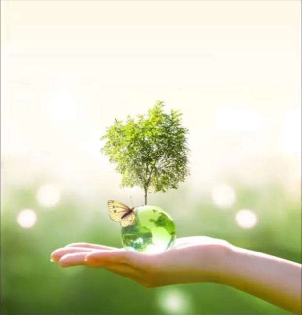 Una persona tiene in mano un globo con sopra un albero e una farfalla.