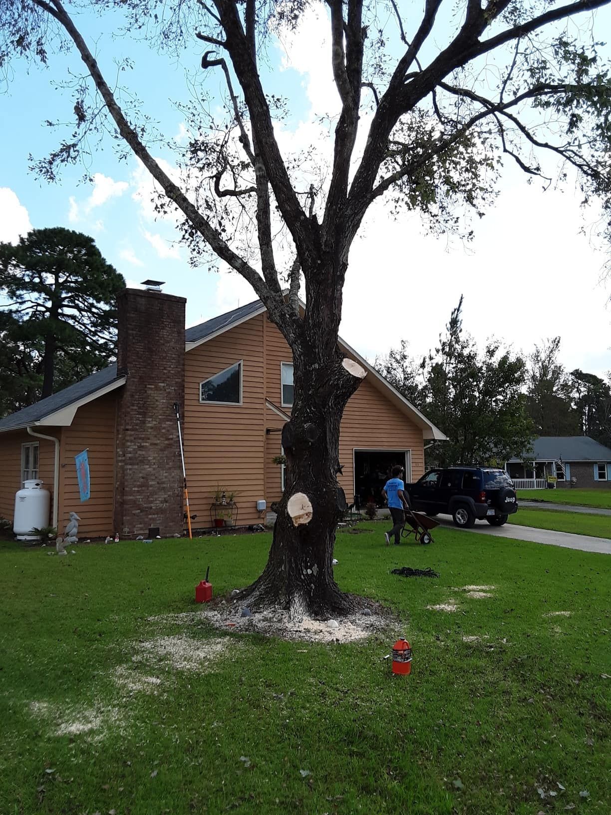 Tree being cut down in front of a house; grass and sawdust visible; person and car in the background.
