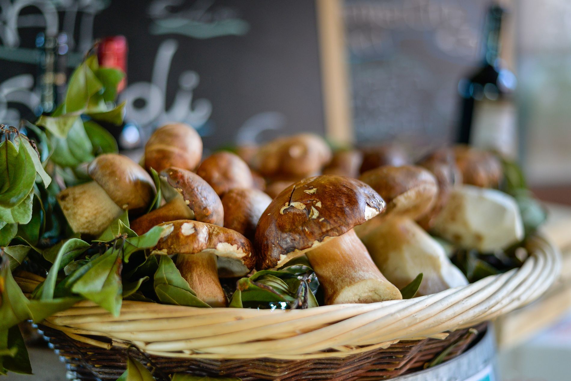 cesta con funghi freschi