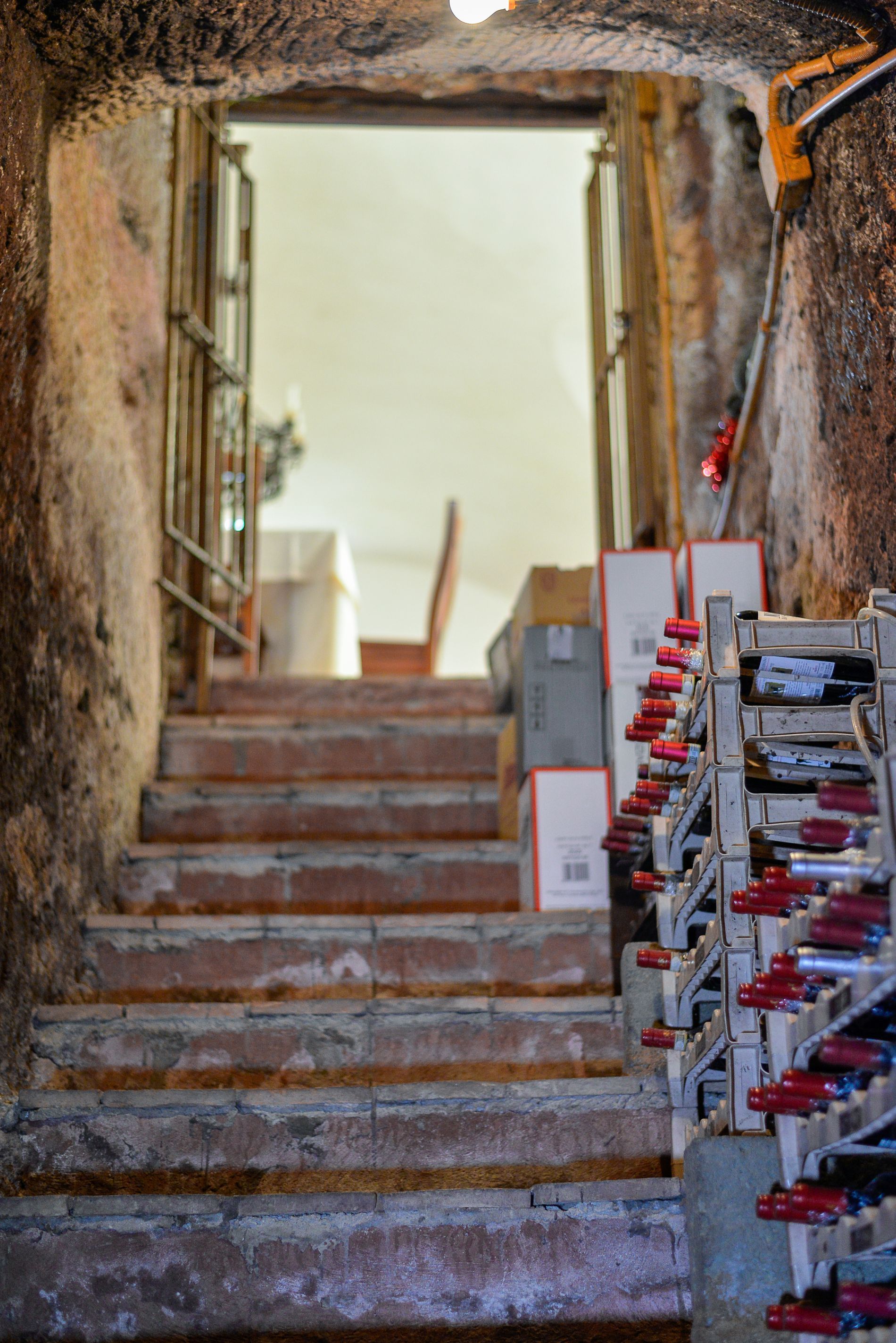 cantina vini ristorante