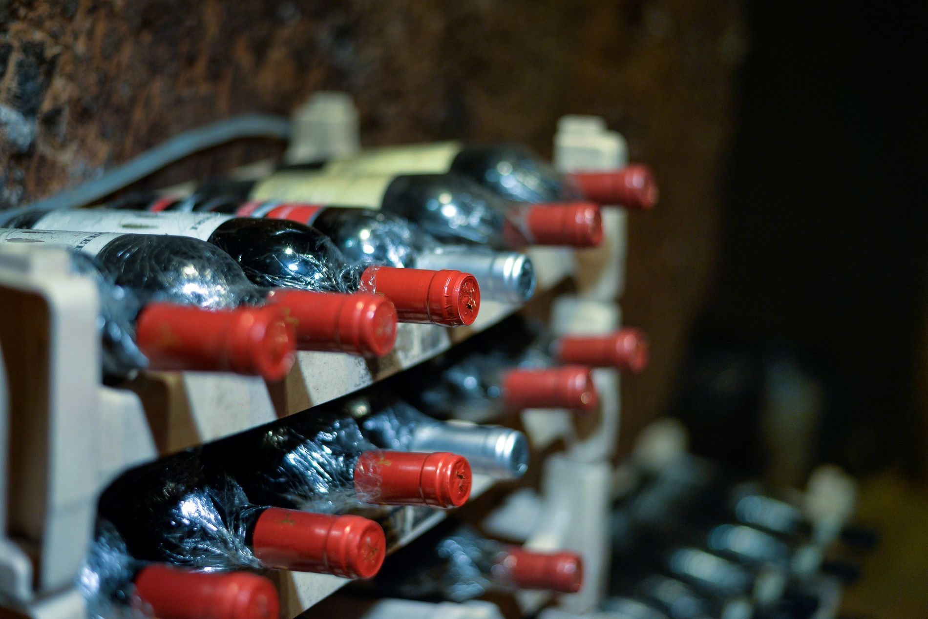 cantina di vini rossi roma