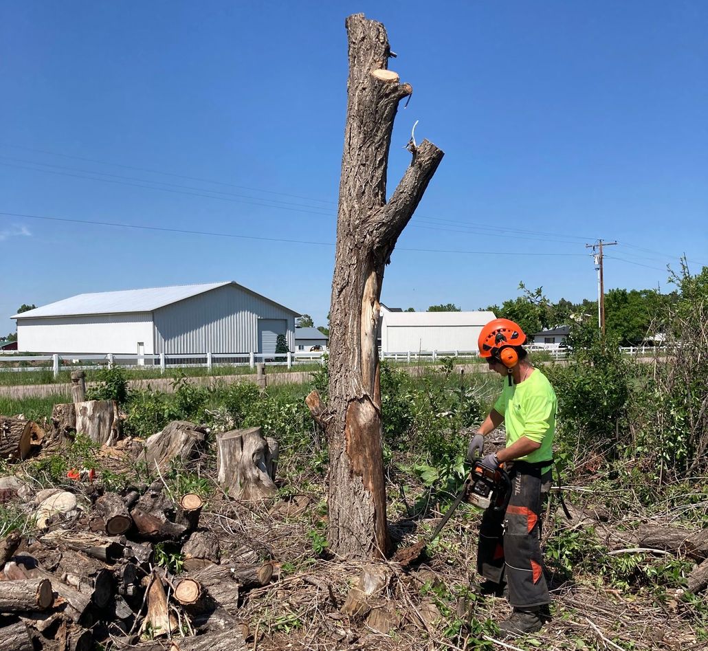 About Farr Arbor LLC in Parker, CO