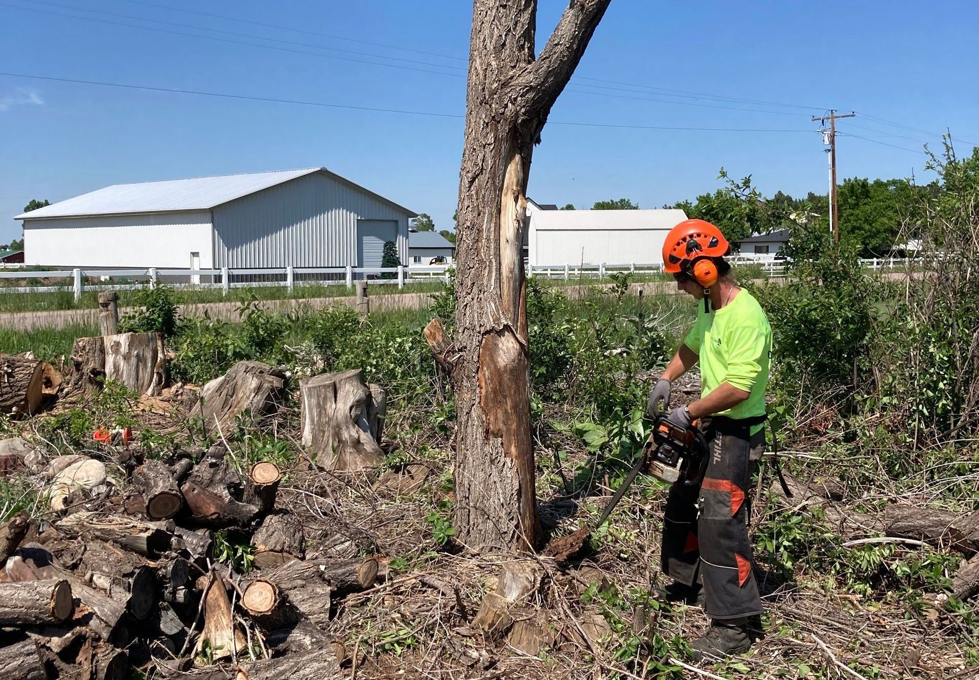 Arborist Services in Parker, CO