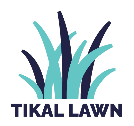 Tikal Lawn
