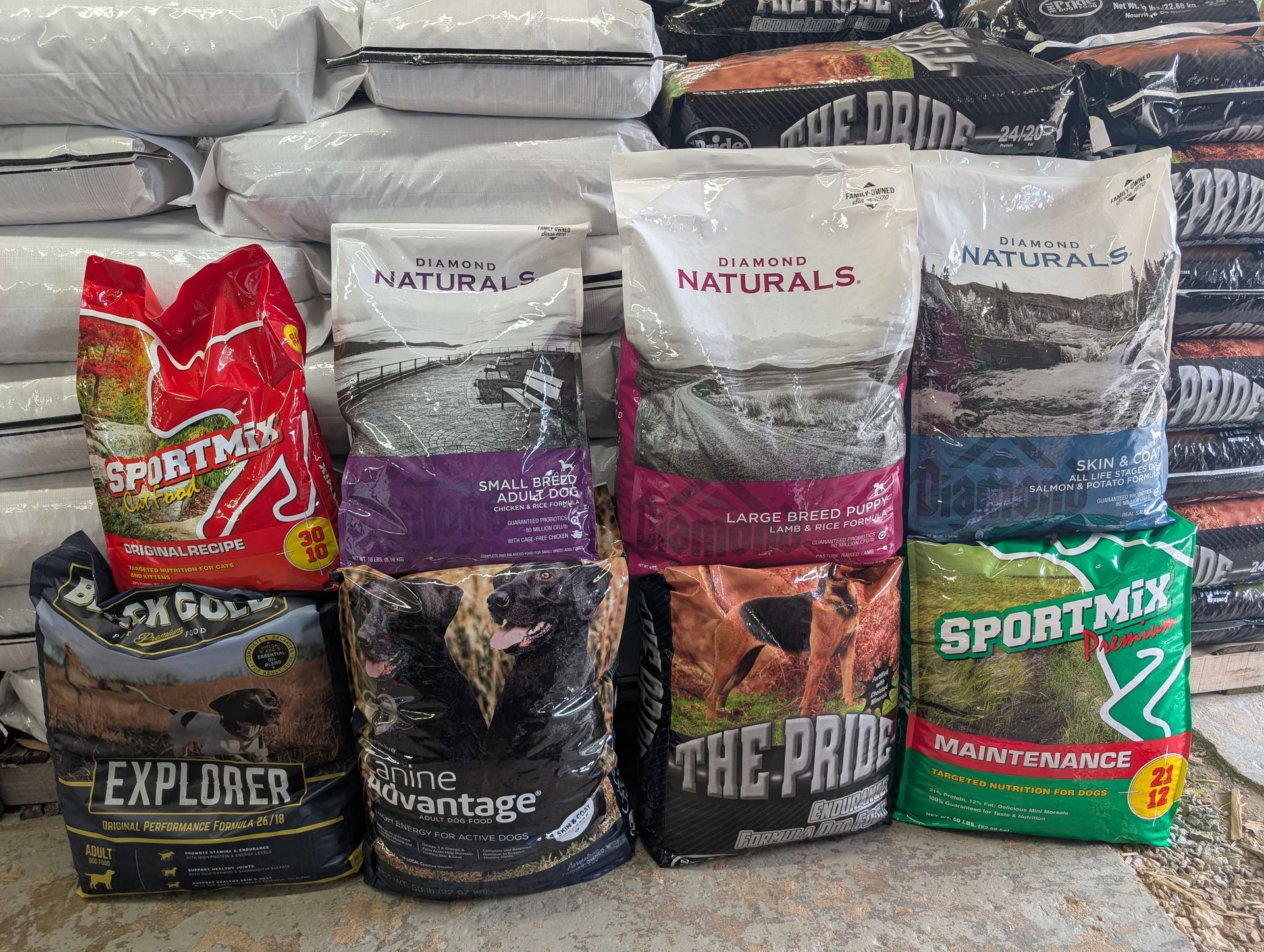 Three containers of Seresto flea collars are sitting on a wooden shelf.