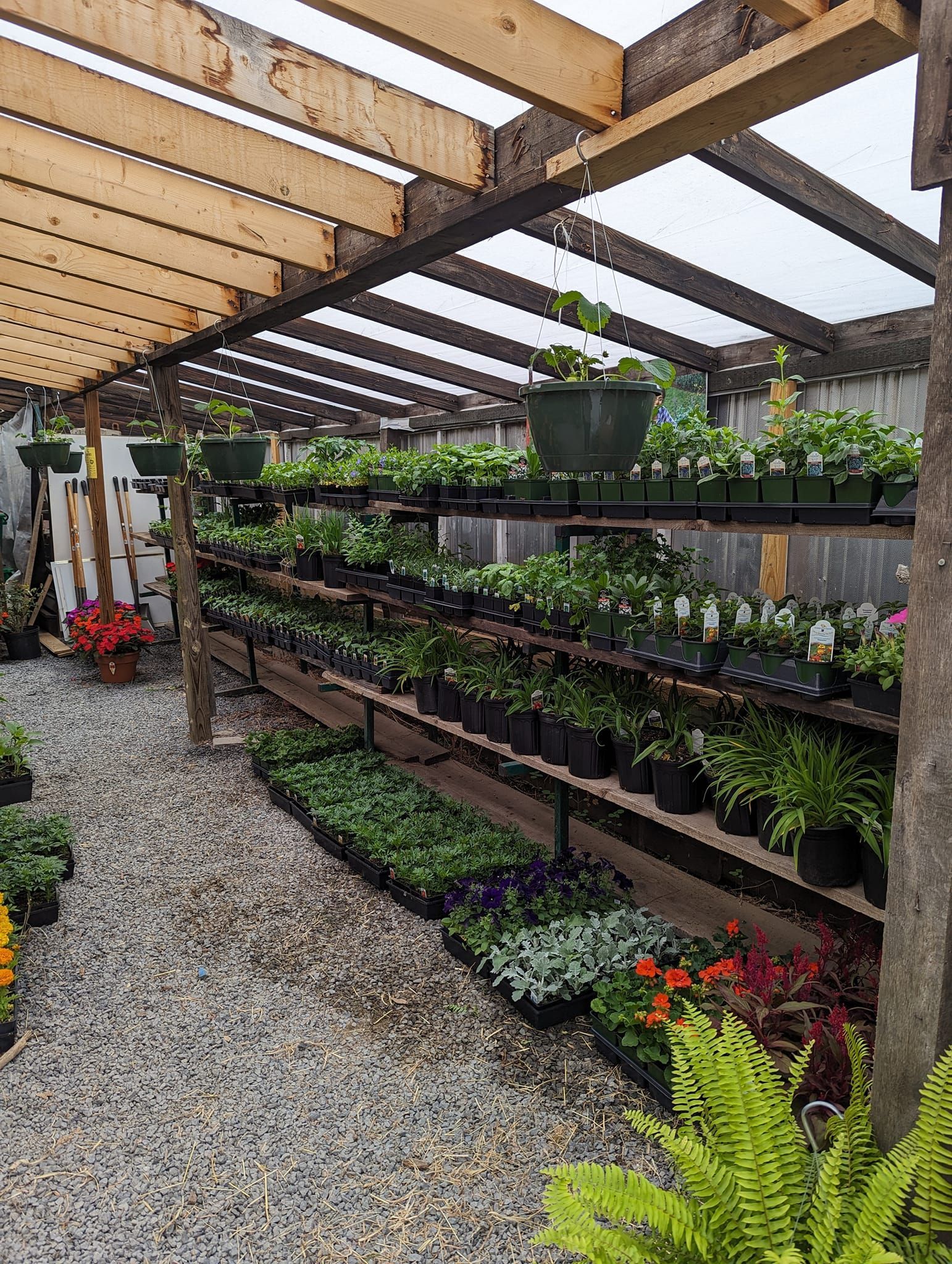 A greenhouse filled with lots of potted plants and flowers.