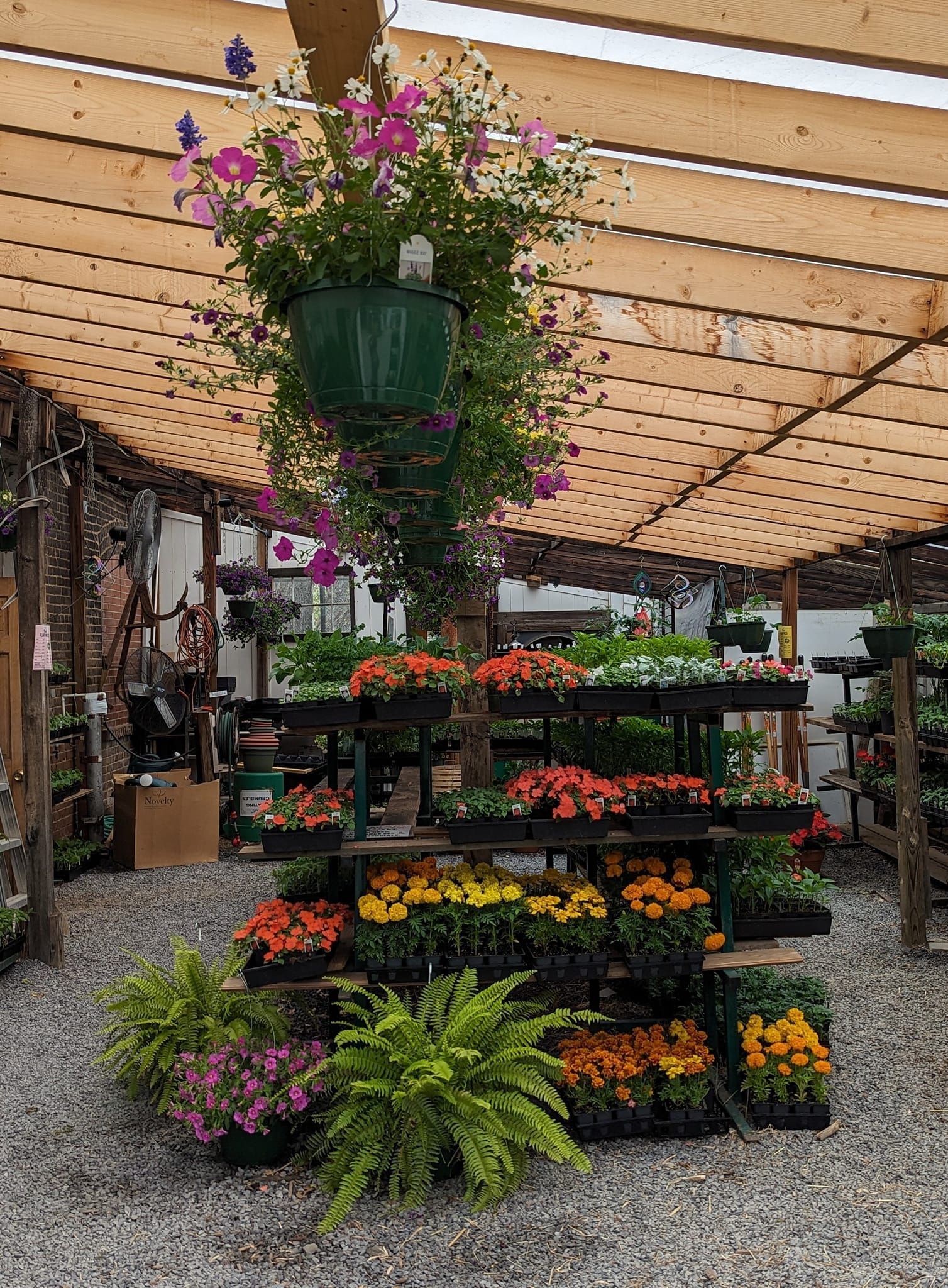 A greenhouse filled with lots of flowers and plants.