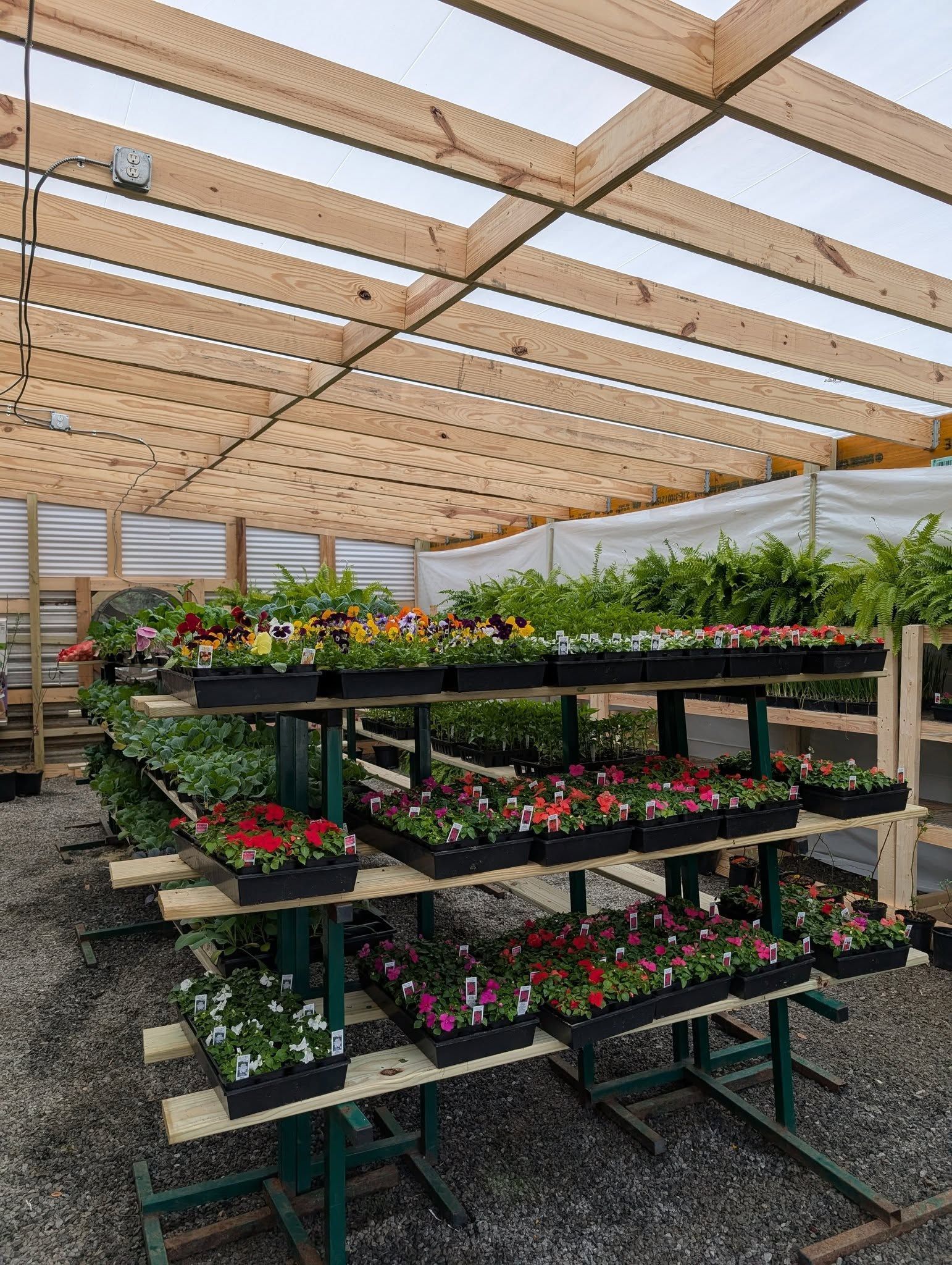 A greenhouse filled with lots of potted plants and flowers.