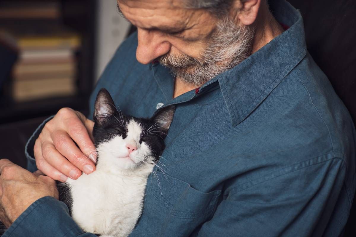 A senior holding a cat against their chest while petting it at Family Choice Home Care near Lexington, Kentucky