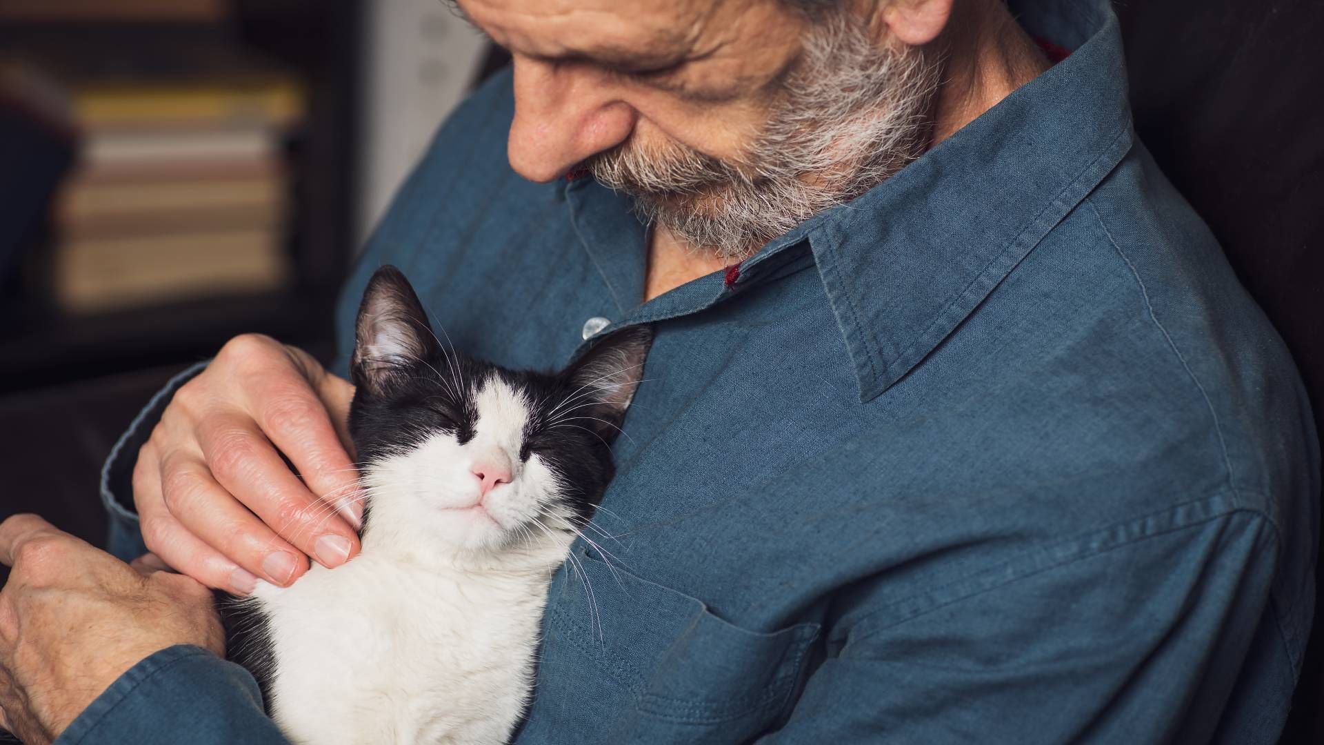 A senior holding a cat against their chest while petting it at Family Choice Home Care near Lexingto