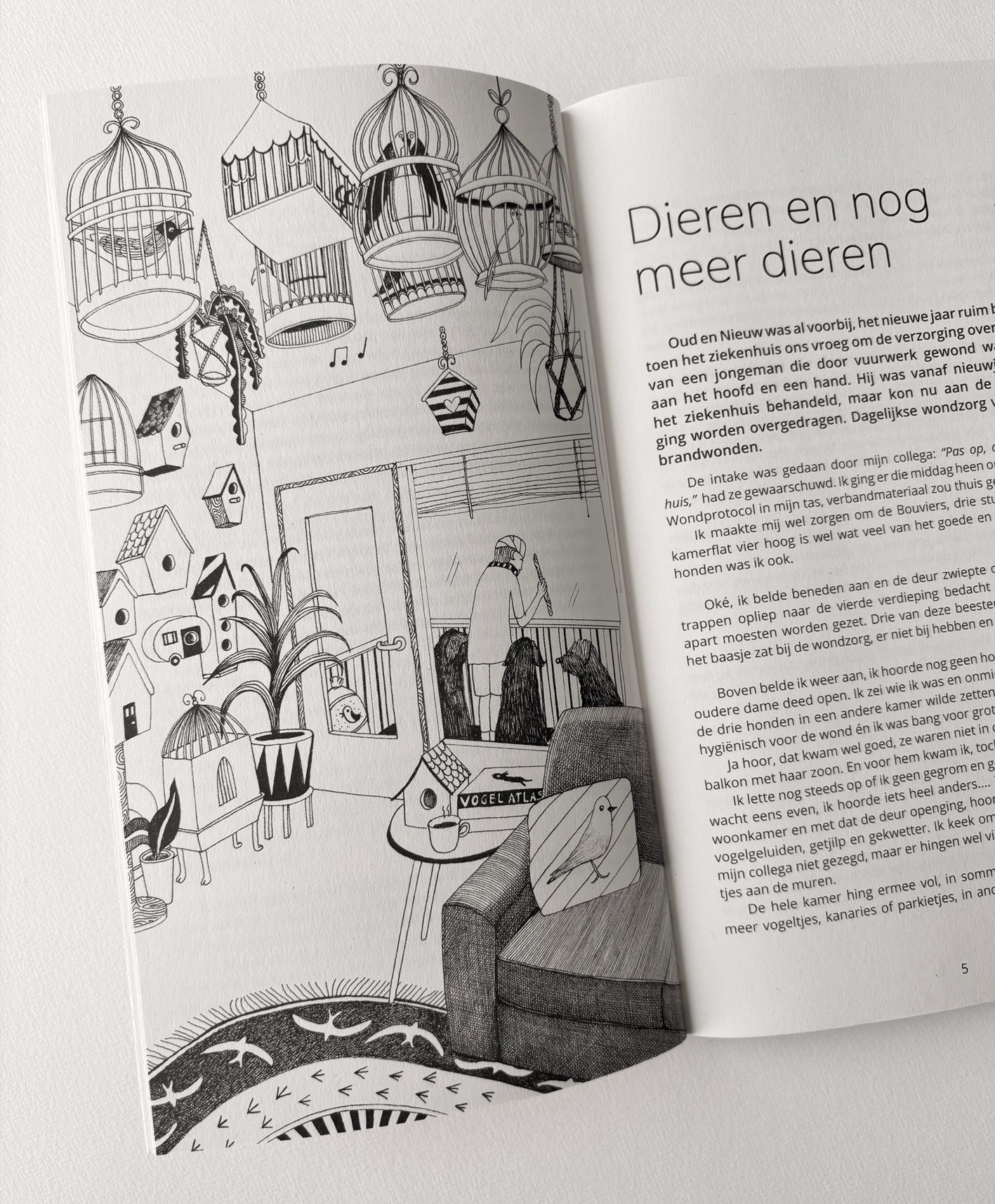 illustratie op de kaft van een boek