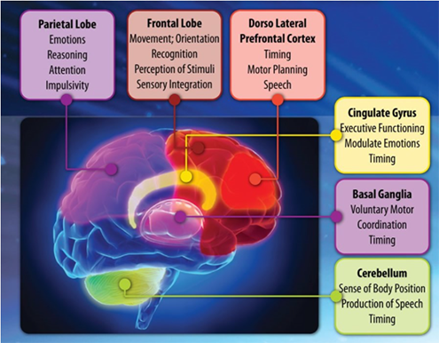 How IM affects the brain — Cheyenne, WY — Brain Advancement Center