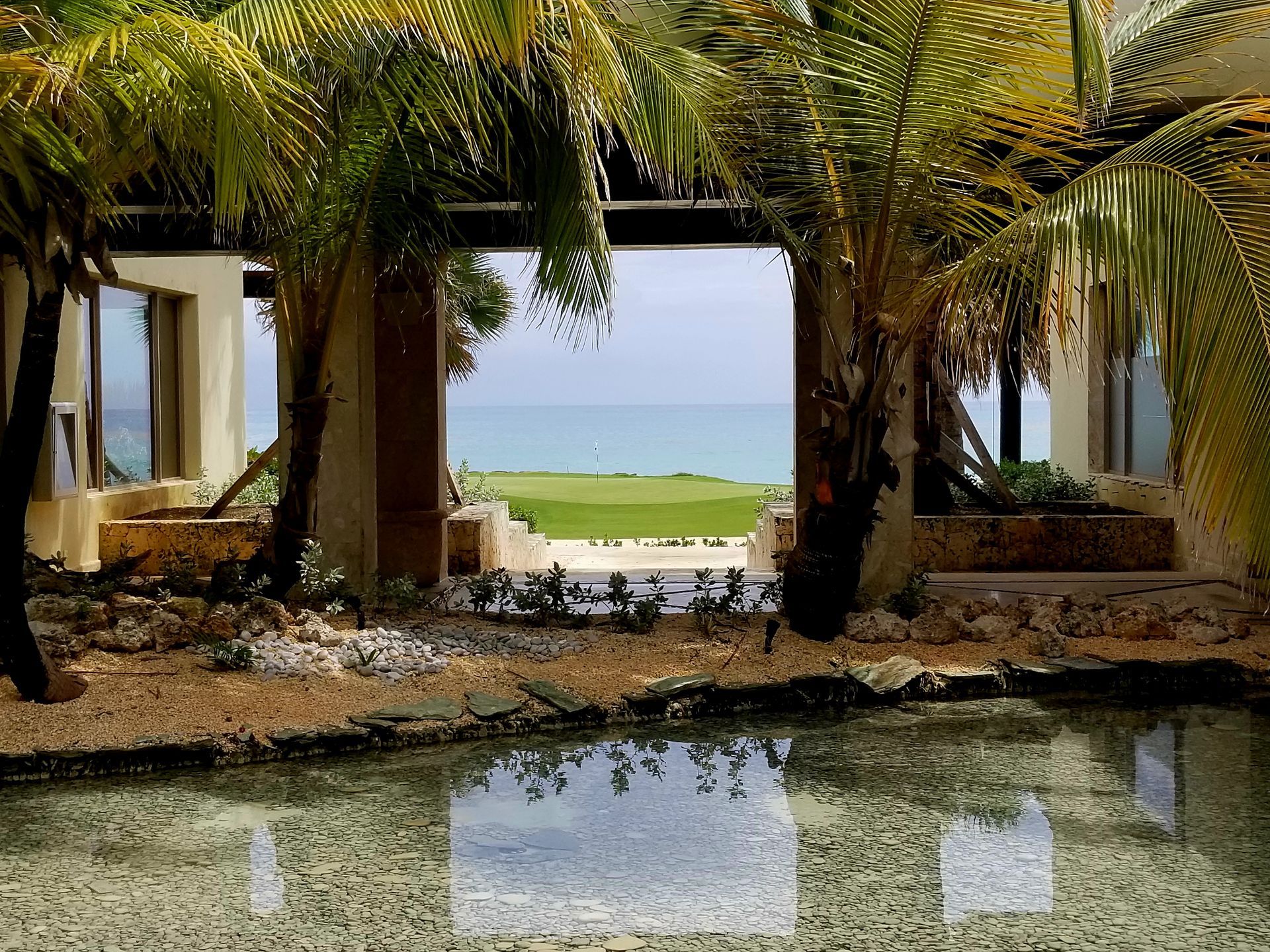 A pool with a view of the ocean is surrounded by palm trees