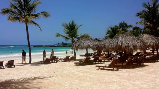 A beach with a lot of chairs and palm trees