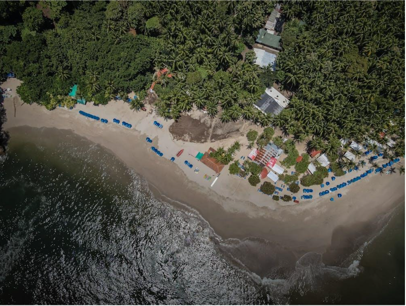 An aerial view of a beach surrounded by trees and a body of water.