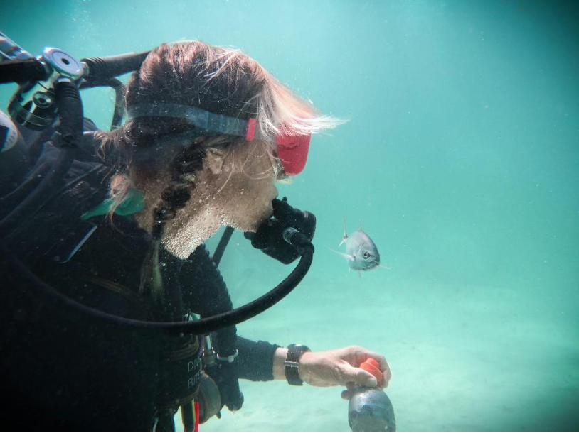 A woman is scuba diving in the ocean and feeding a fish.